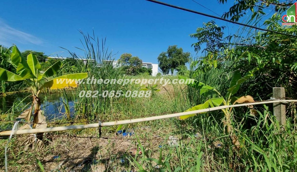 LINE_ALBUM_A1774วิภา70_260302_10