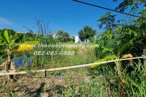 LINE_ALBUM_A1774วิภา70_260302_10