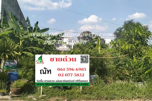 LINE_ALBUM_A1774วิภา70_260302_12