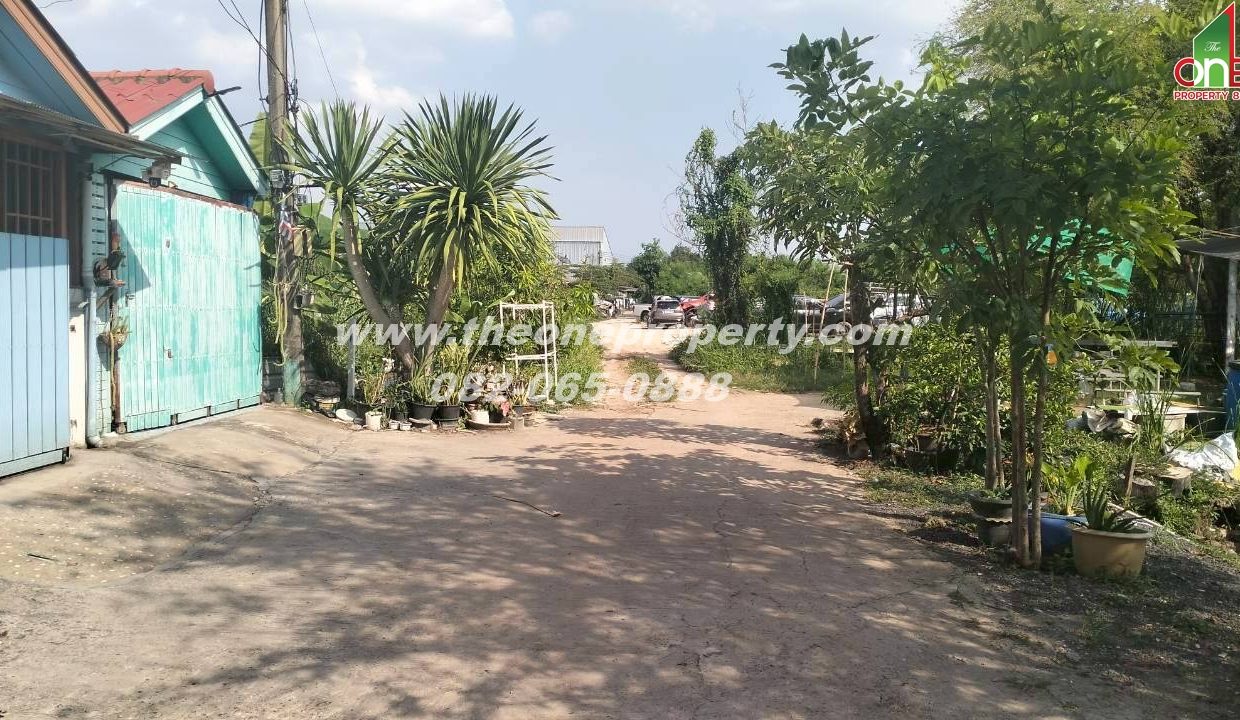 LINE_ALBUM_A1774วิภา70_260302_2