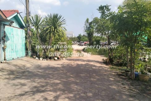 LINE_ALBUM_A1774วิภา70_260302_2