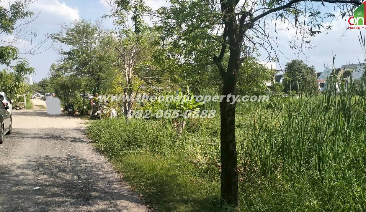 LINE_ALBUM_A1774วิภา70_260302_3