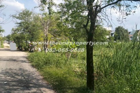 LINE_ALBUM_A1774วิภา70_260302_3