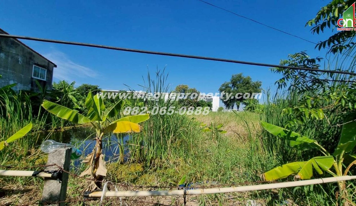 LINE_ALBUM_A1774วิภา70_260302_4