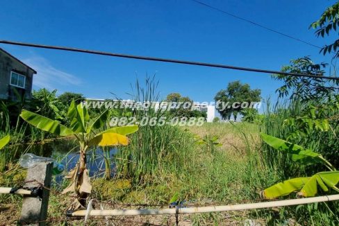 LINE_ALBUM_A1774วิภา70_260302_4