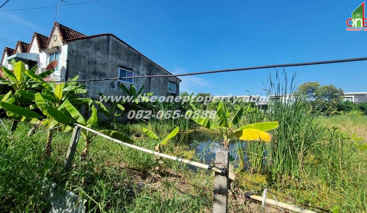 LINE_ALBUM_A1774วิภา70_260302_5