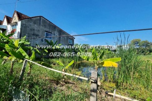 LINE_ALBUM_A1774วิภา70_260302_5