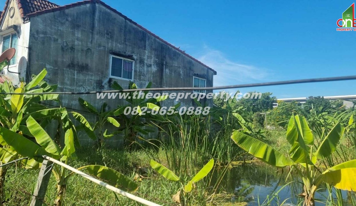 LINE_ALBUM_A1774วิภา70_260302_6