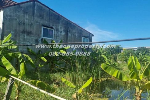 LINE_ALBUM_A1774วิภา70_260302_6