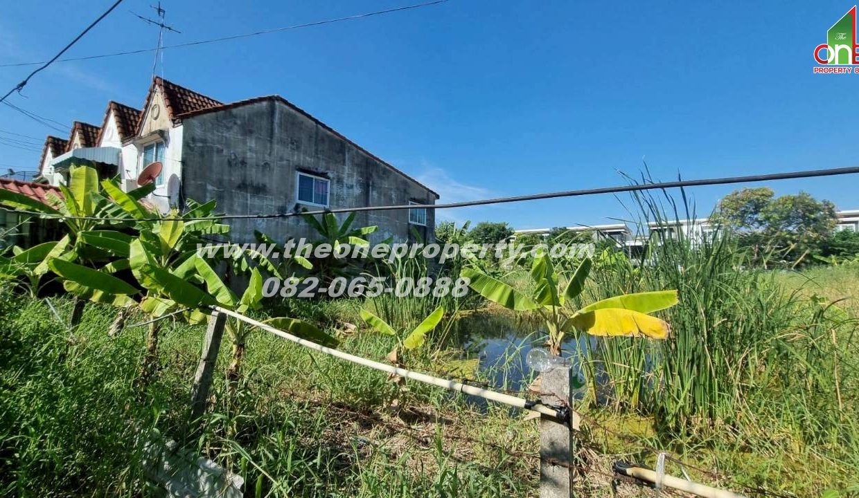 LINE_ALBUM_A1774วิภา70_260302_8