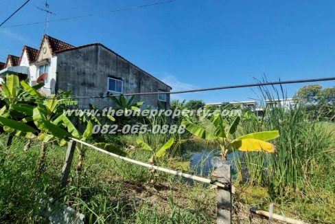 LINE_ALBUM_A1774วิภา70_260302_8