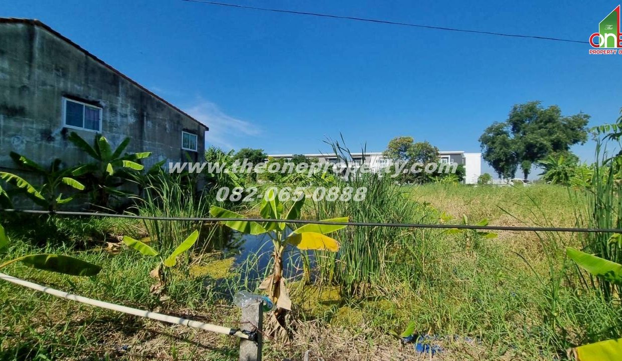 LINE_ALBUM_A1774วิภา70_260302_9