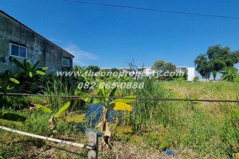 LINE_ALBUM_A1774วิภา70_260302_9