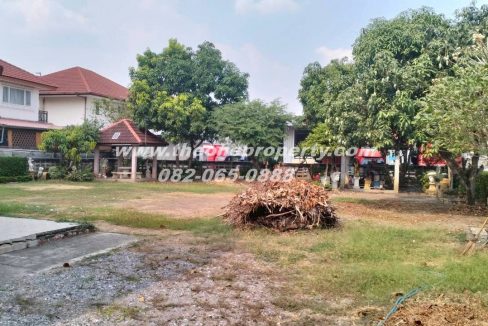 LINE_ALBUM_A1816 เทิดราชัน_260302_9