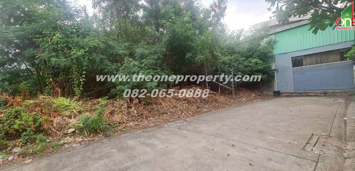 LINE_ALBUM_A1886ที่ดิน124วา สตรีวิทยา2_260306_4