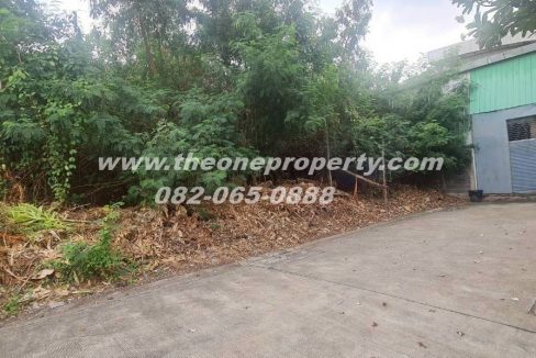 LINE_ALBUM_A1886ที่ดิน124วา สตรีวิทยา2_260306_4