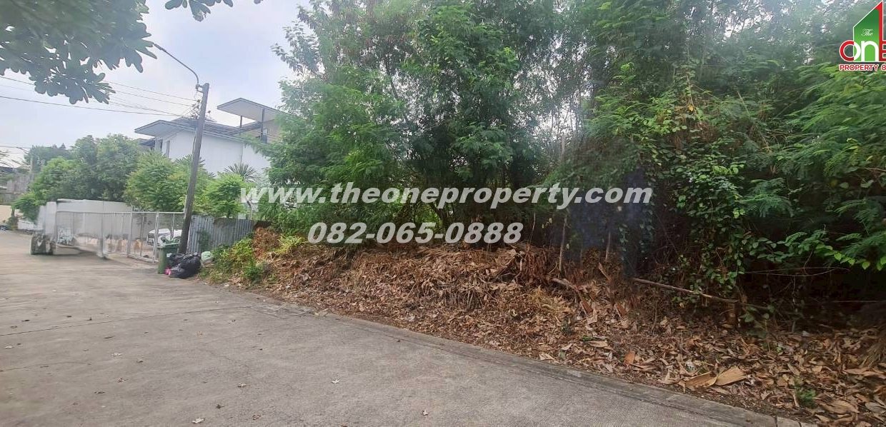 LINE_ALBUM_A1886ที่ดิน124วา สตรีวิทยา2_260306_7