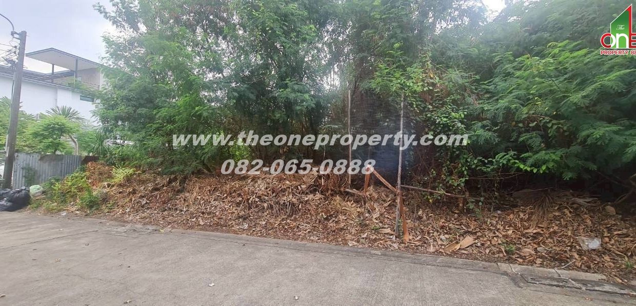 LINE_ALBUM_A1886ที่ดิน124วา สตรีวิทยา2_260306_8