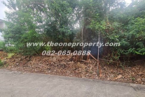 LINE_ALBUM_A1886ที่ดิน124วา สตรีวิทยา2_260306_8