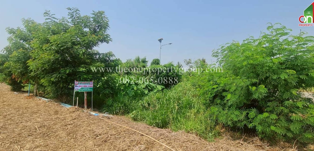 LINE_ALBUM_A1898ที่ดินบ้านยาง_260327_12