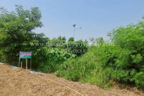 LINE_ALBUM_A1898ที่ดินบ้านยาง_260327_12