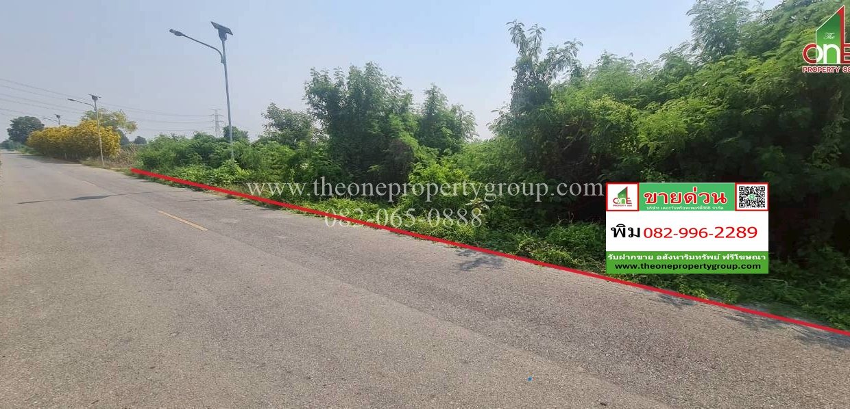 LINE_ALBUM_A1898ที่ดินบ้านยาง_260327_3