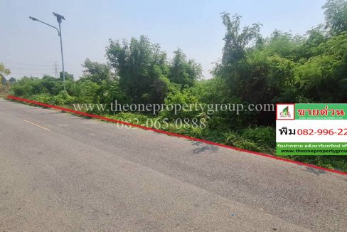 LINE_ALBUM_A1898ที่ดินบ้านยาง_260327_3