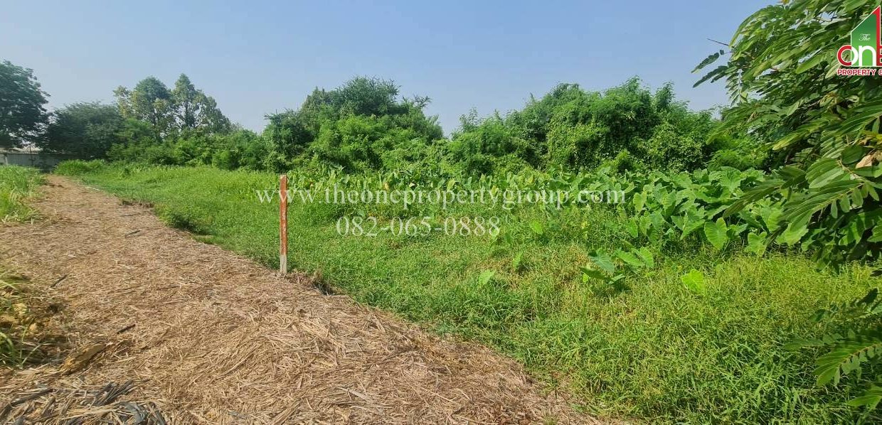 LINE_ALBUM_A1898ที่ดินบ้านยาง_260327_6