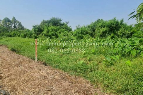 LINE_ALBUM_A1898ที่ดินบ้านยาง_260327_6