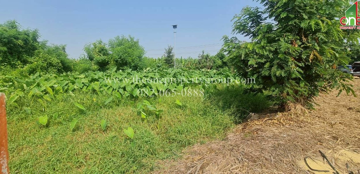 LINE_ALBUM_A1898ที่ดินบ้านยาง_260327_7