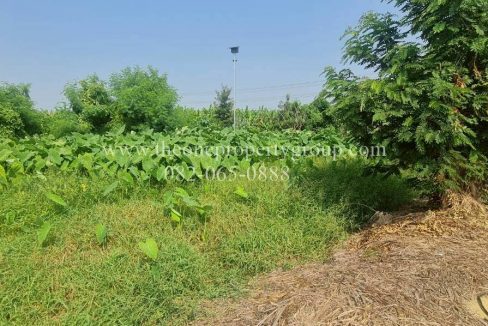 LINE_ALBUM_A1898ที่ดินบ้านยาง_260327_7