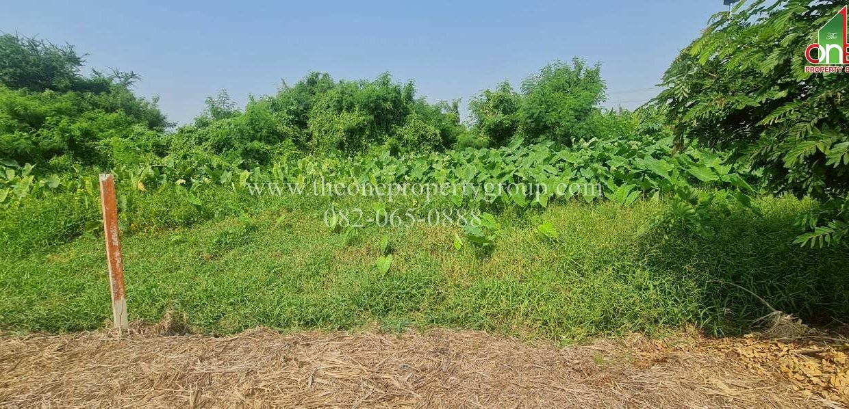 LINE_ALBUM_A1898ที่ดินบ้านยาง_260327_8