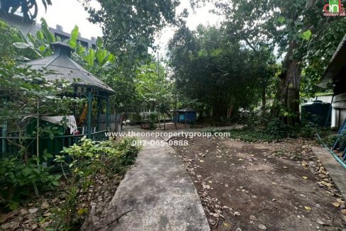 LINE_ALBUM_A1954และ 1955_261006_5