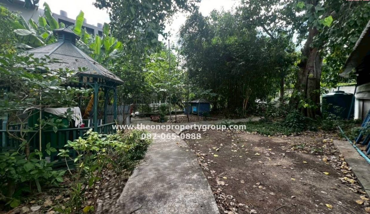LINE_ALBUM_A1954และ 1955_261006_5